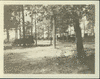 Brown City Camp 2_thumb.gif